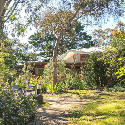 Movement Room_spring_Melbourne Rudolf Steiner Seminar_square